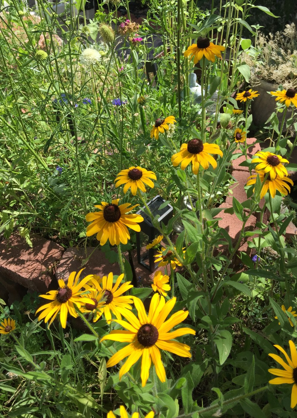 C0E8D5E9-6608-4B28-8A7F-B14B0206163E