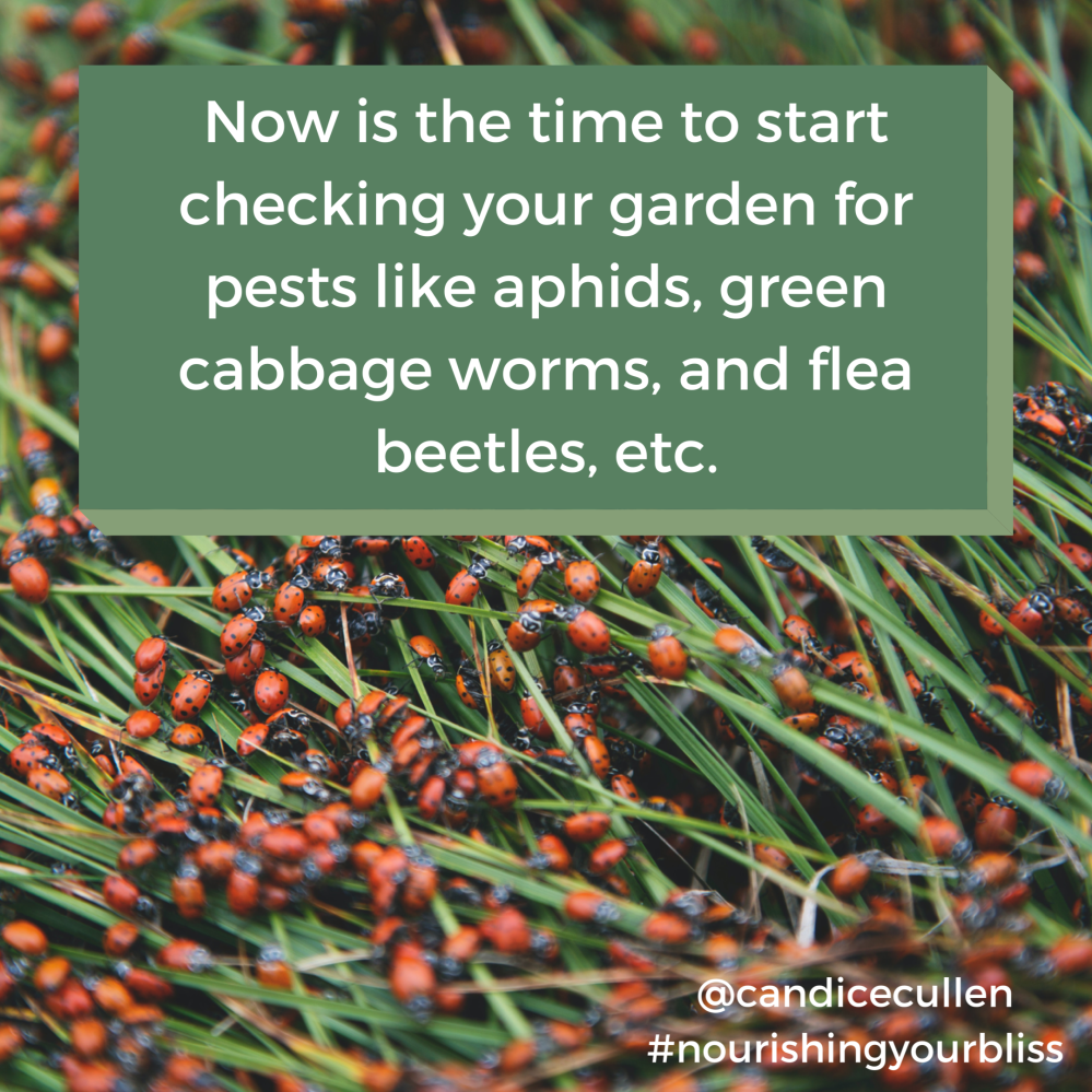 A49BC065-0561-4159-BEC6-FE17BC27BA03